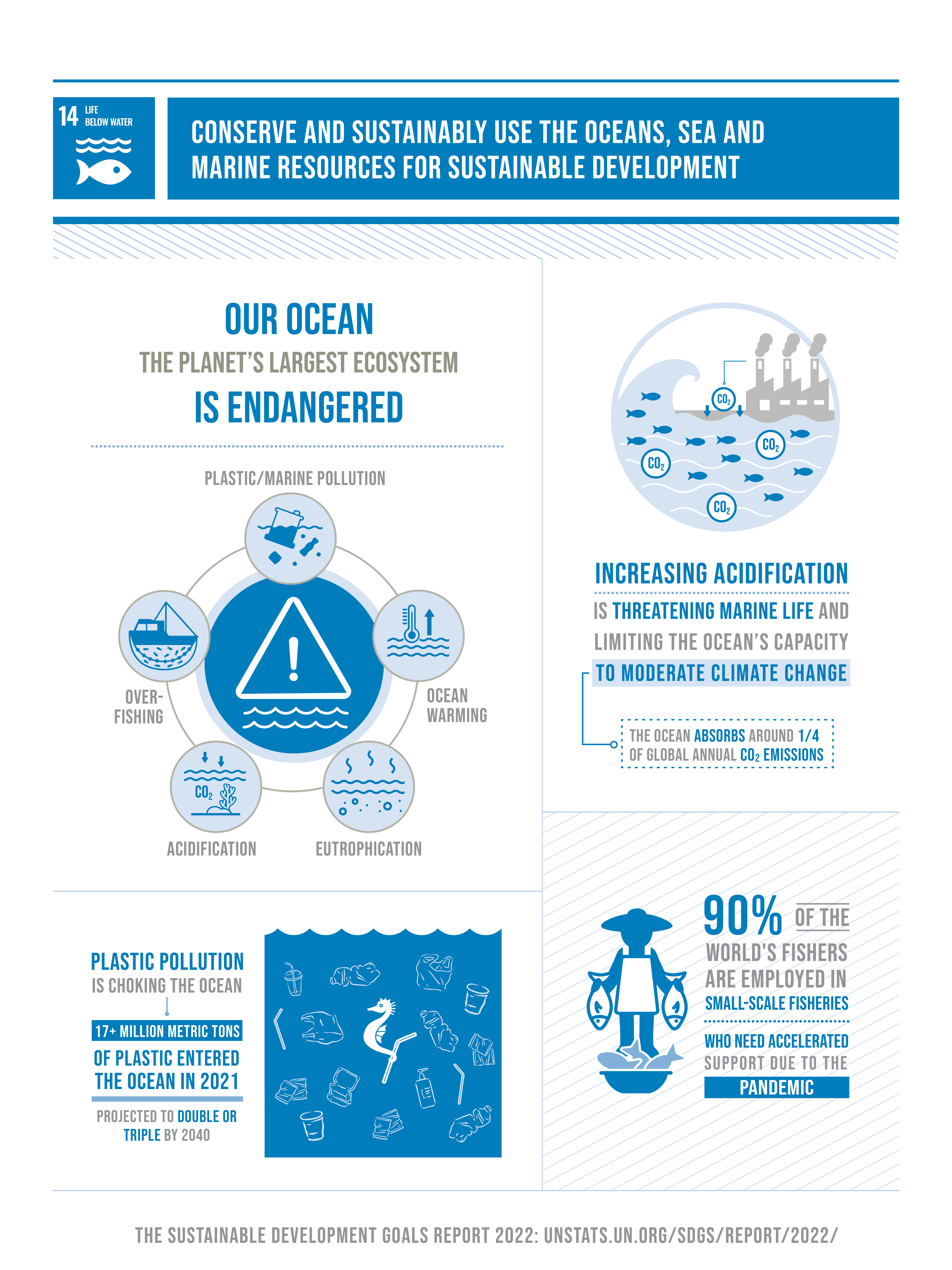 Life Below Water Paul College of Business and Economics Sustainable